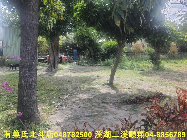 彰化田尾建地-3
