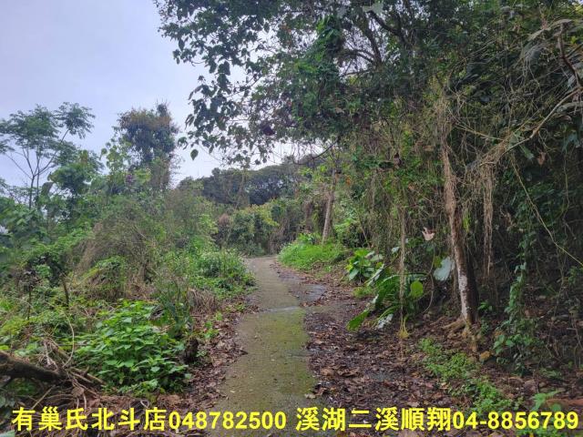 彰化員林農地-5