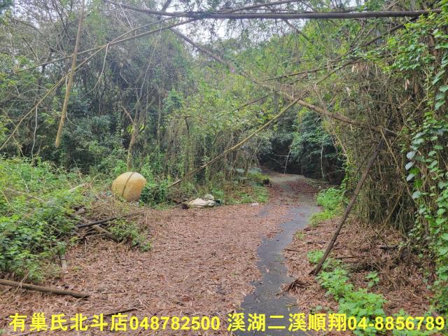 彰化員林農地-6