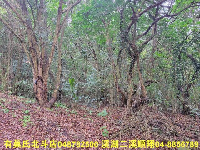 彰化員林農地-7