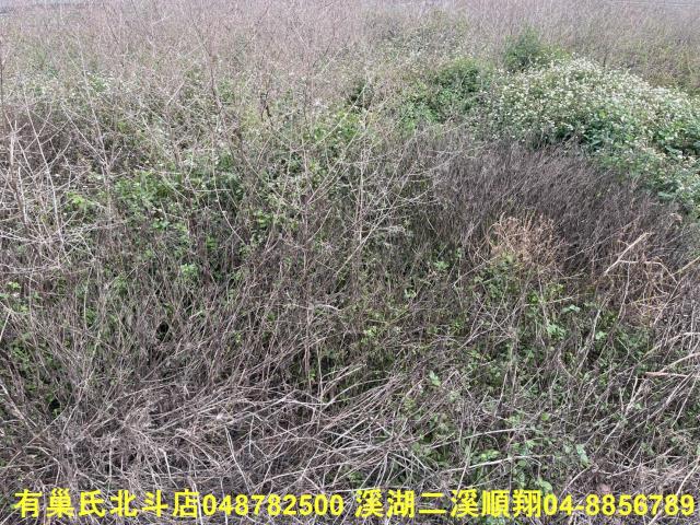 彰化農地-4