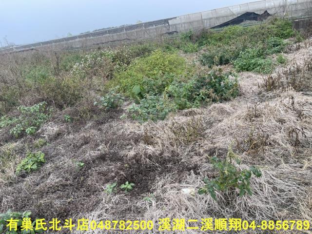 彰化農地-6