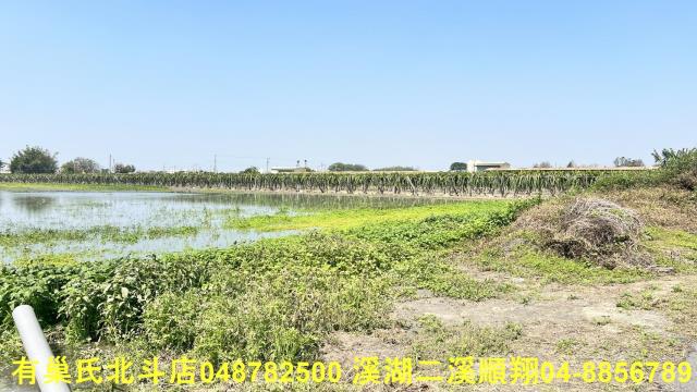 二林農地-2
