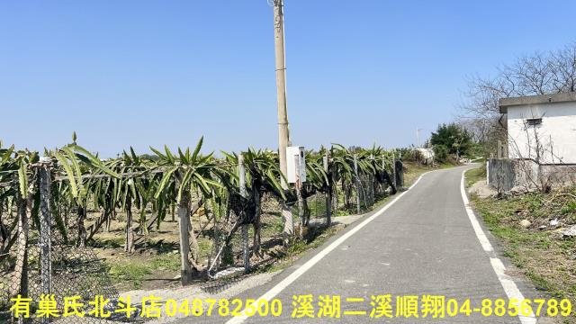 二林農地-4