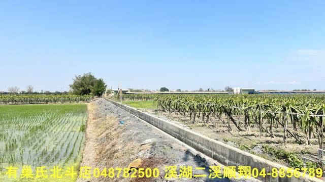 二林農地-6