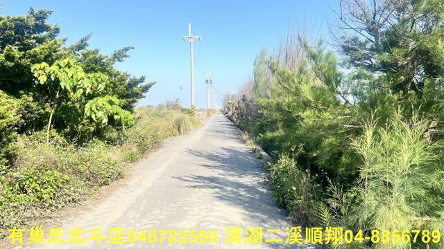 大城農地-0