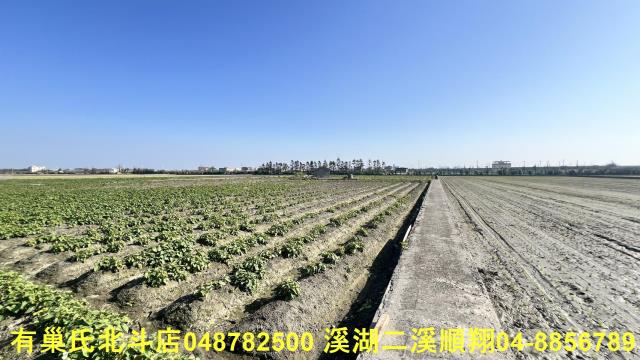 大城農地-3