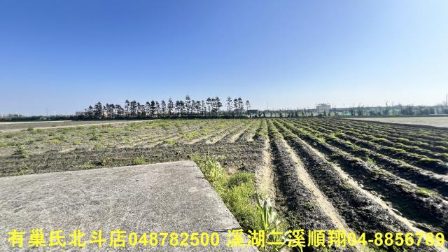 大城農地-5