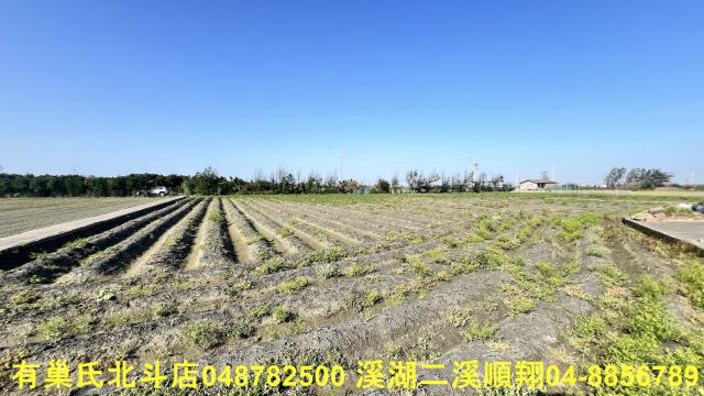 大城農地-6