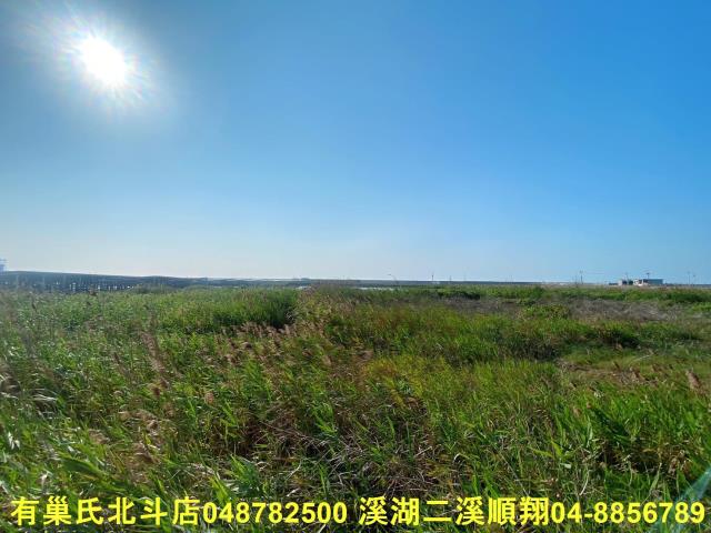 彰化大城農地-3