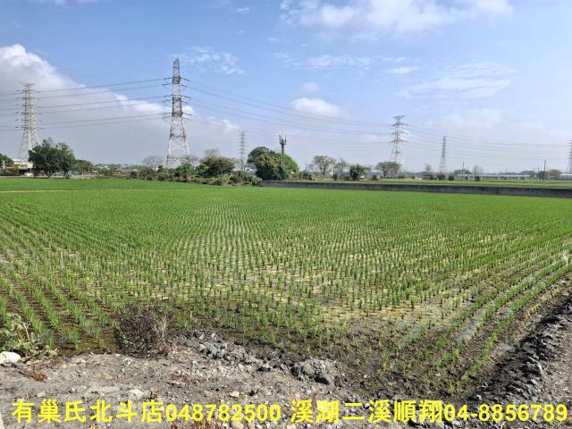 彰化埤頭農地-4