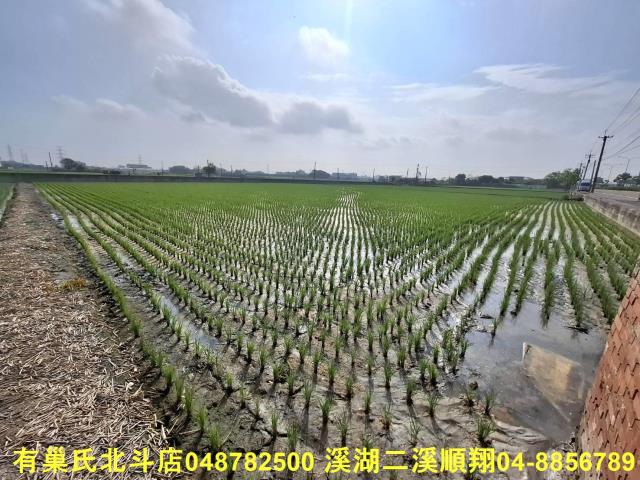 彰化埤頭農地-6