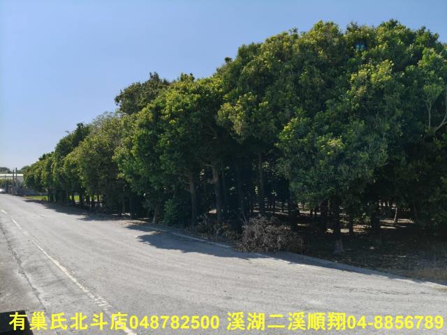 北斗農地-2
