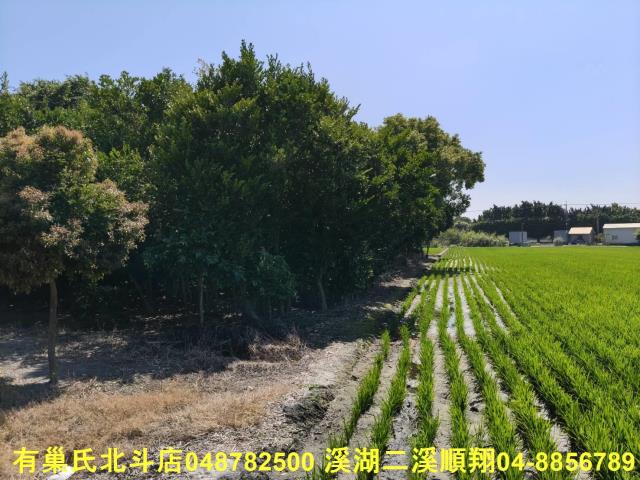北斗農地-4