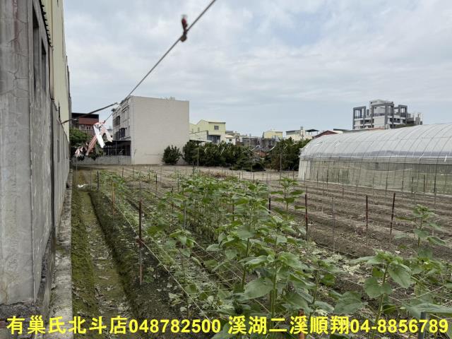 彰化北斗農地-9