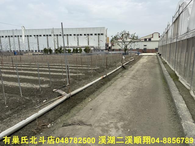 彰化北斗農地-12