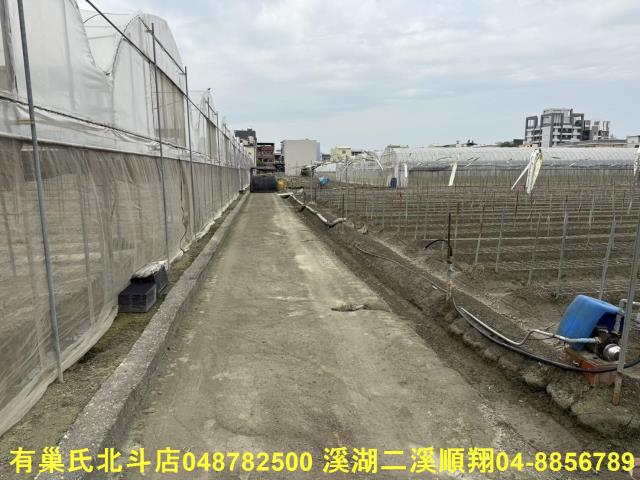 彰化北斗農地-5