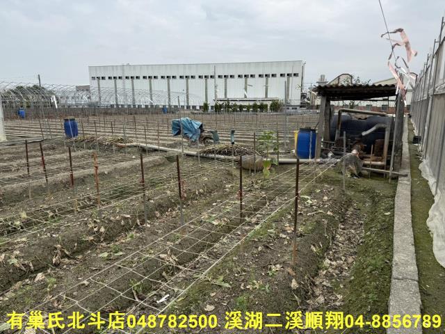 彰化北斗農地-7