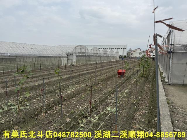 彰化北斗農地-8