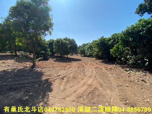 彰化社頭農地-0