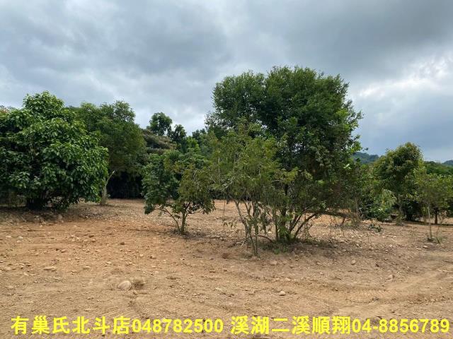 彰化社頭農地-2