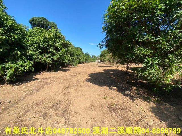 彰化社頭農地-3