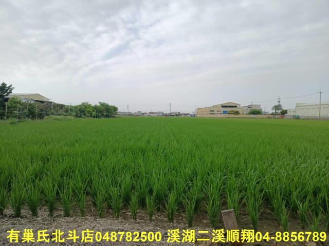 彰化埔鹽農地-0