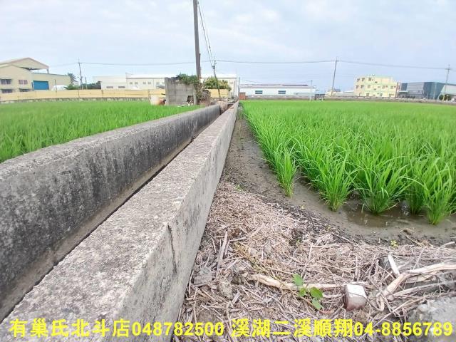 彰化埔鹽農地-2