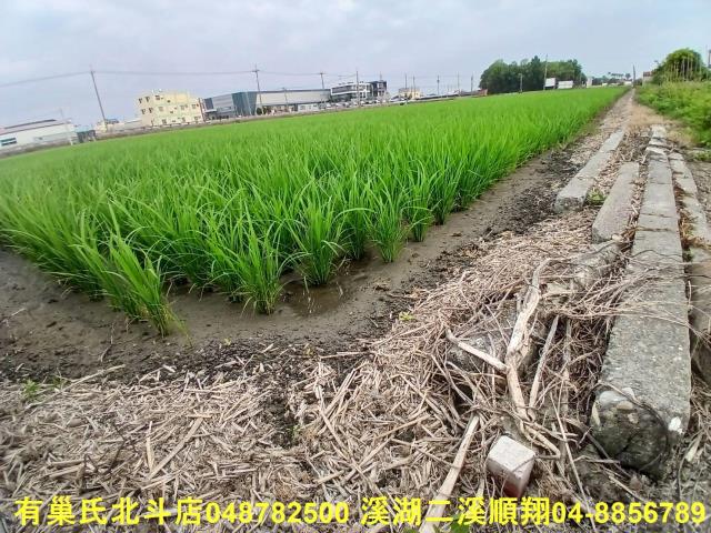 彰化埔鹽農地-3