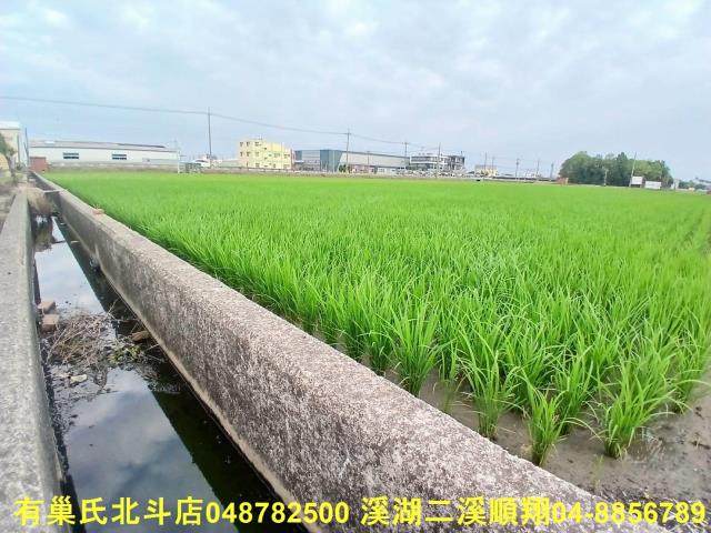 彰化埔鹽農地-4