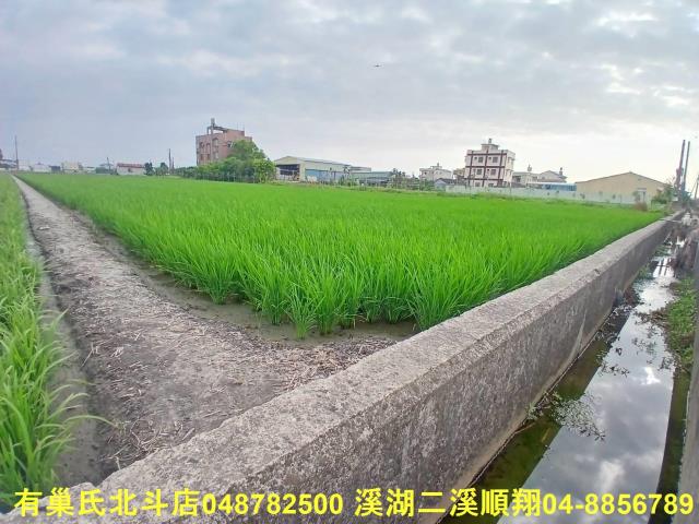 彰化埔鹽農地-5