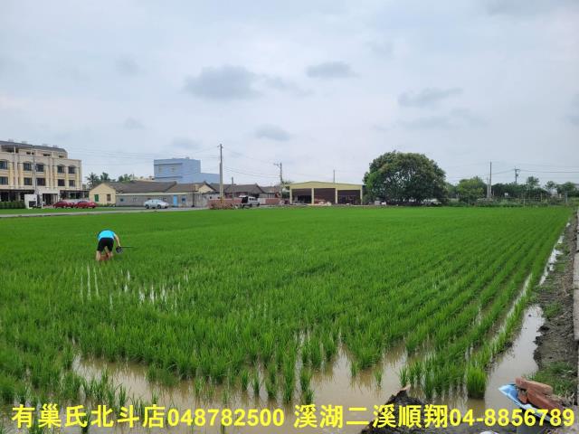 彰化農地-5