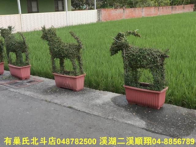 彰化埔心農地-1