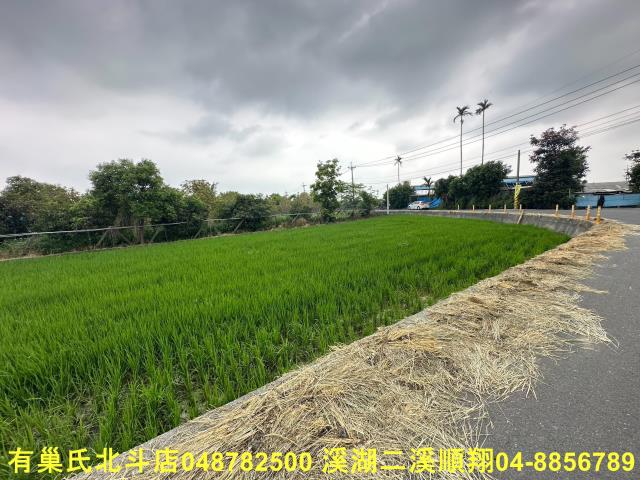彰化二林農地-3