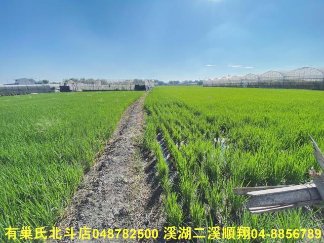 彰化大村農地-3