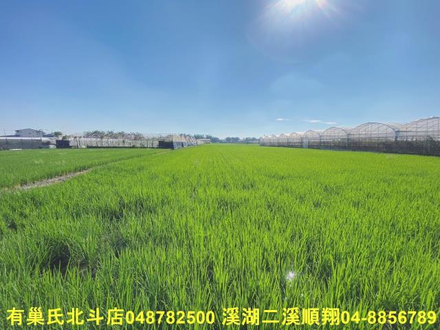 彰化大村農地-4