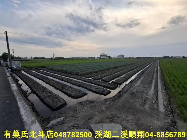 彰化埤頭農地-2