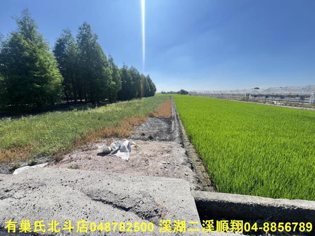 溪州農地-1