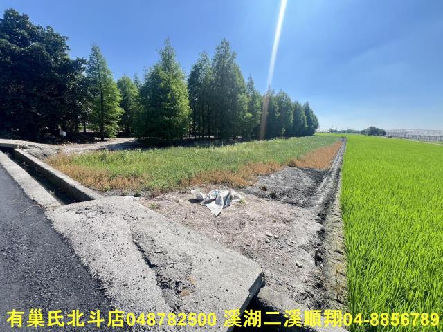 溪州農地-2