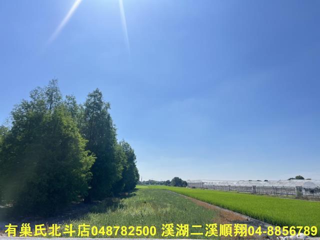 溪州農地-4