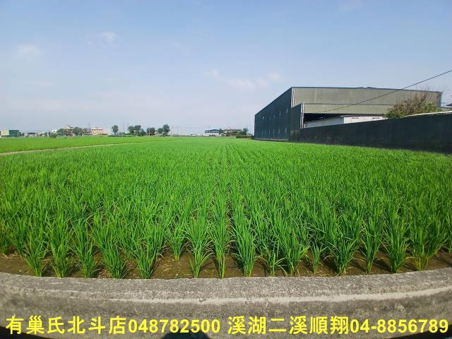 彰化農地-1