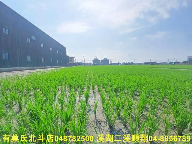 彰化農地-2
