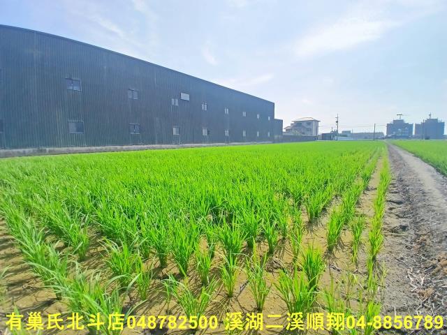 彰化農地-4