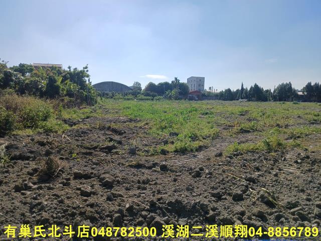 彰化埔心農地-4
