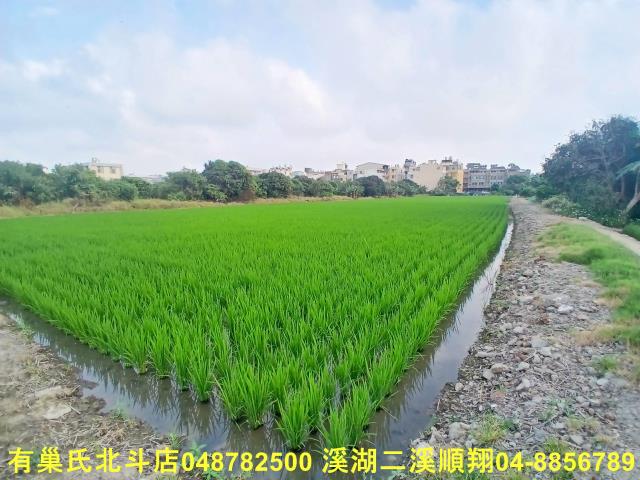 彰化和美農地-0