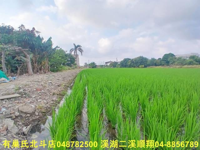 彰化和美農地-1