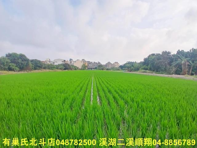 彰化和美農地-2