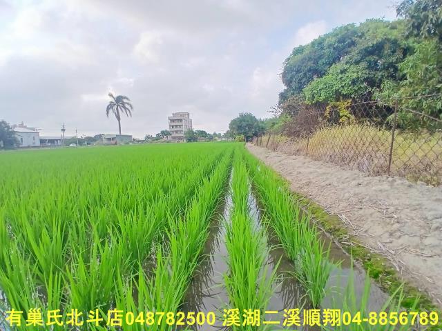 彰化和美農地-4