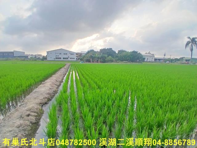 彰化和美農地-5