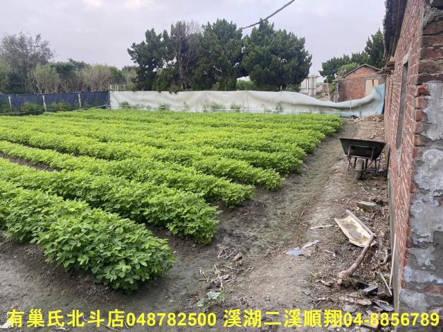二林建地-6